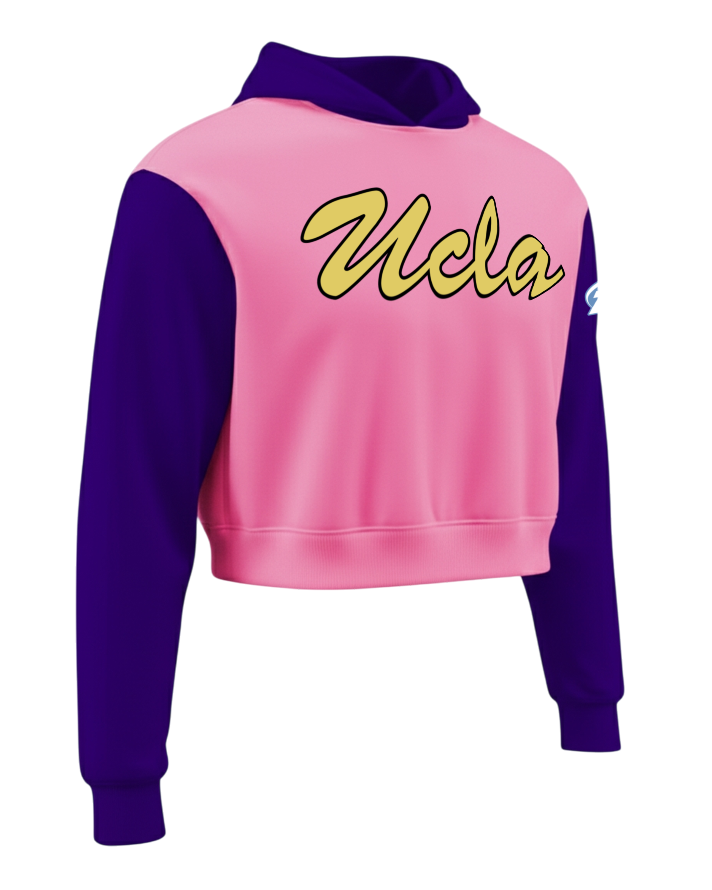 Cotton Fleece Crop Top Hoodie