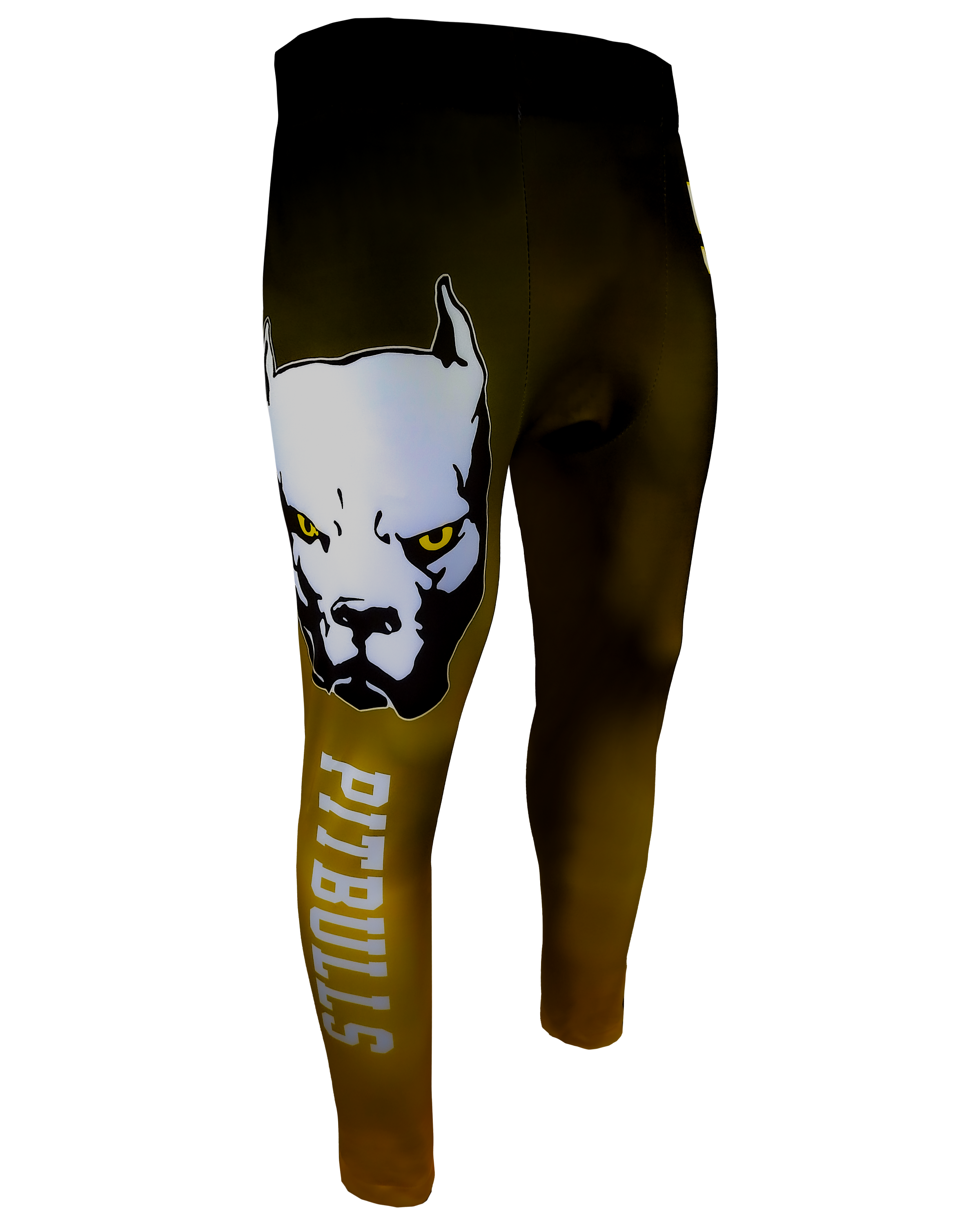 Full Length Compression Pants