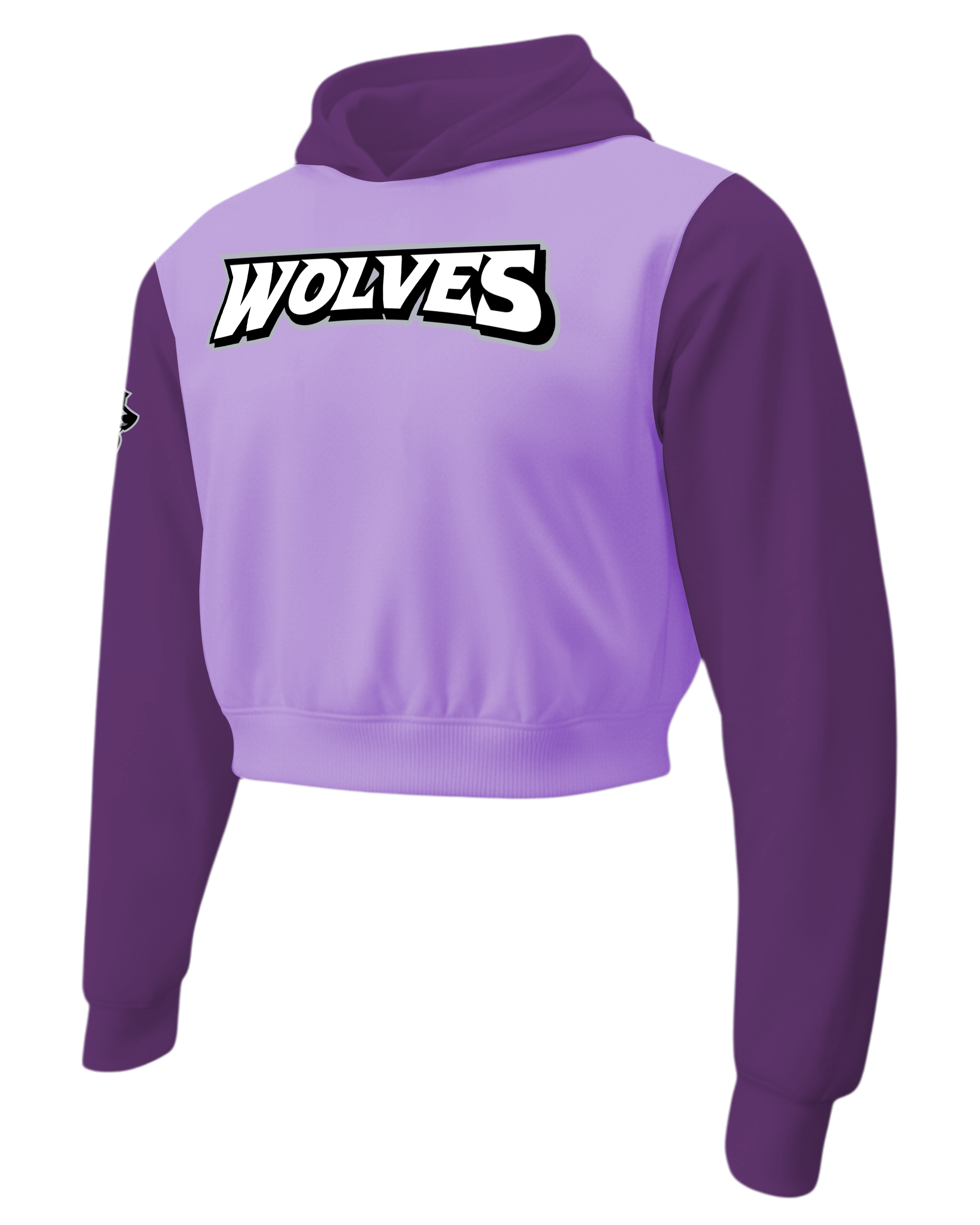 Dyed Heavy Performance Fleece Crop Top Hoodie