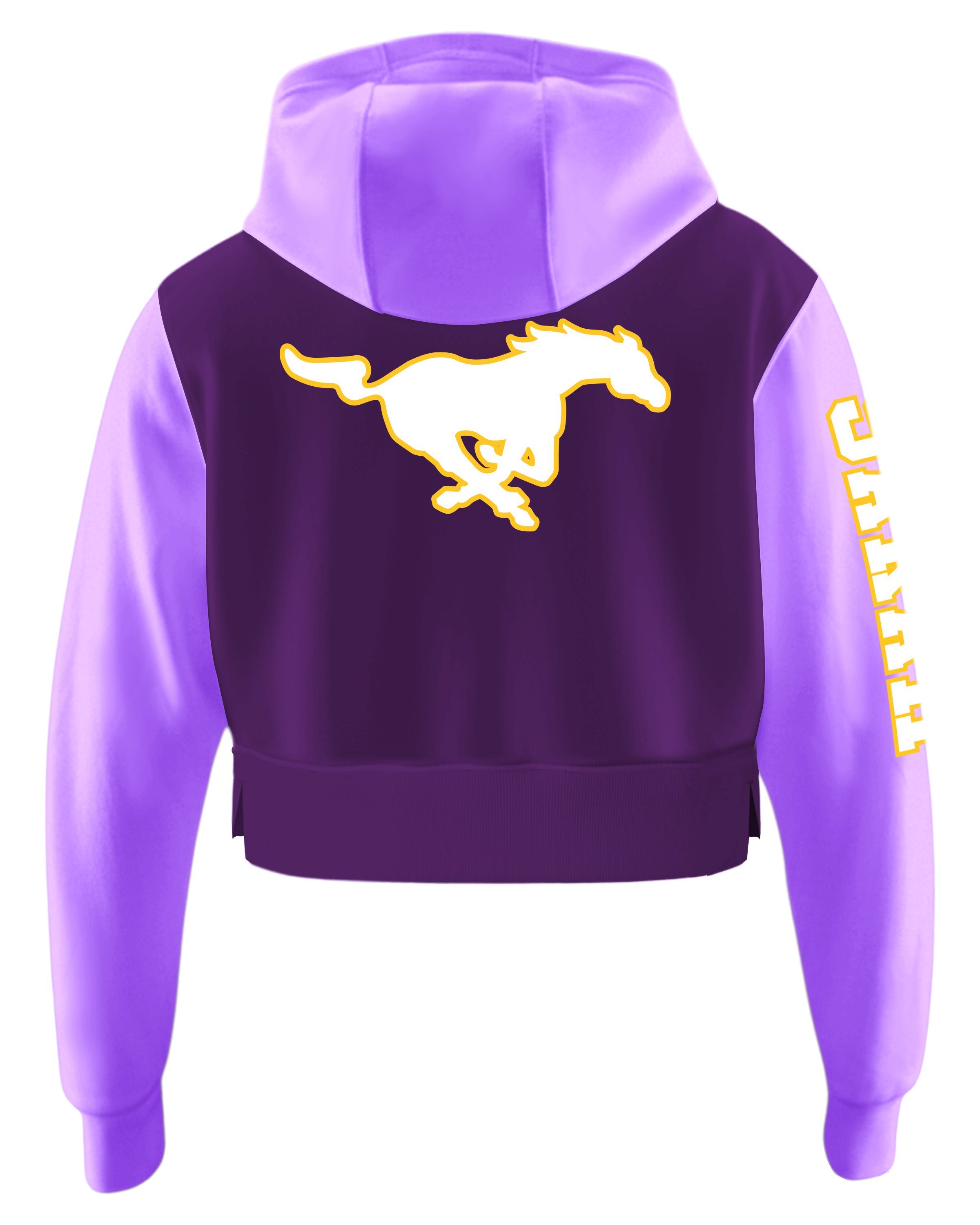 DYED Drifit Performance Crop Top Hoodie w/ Bottom Hem Slit