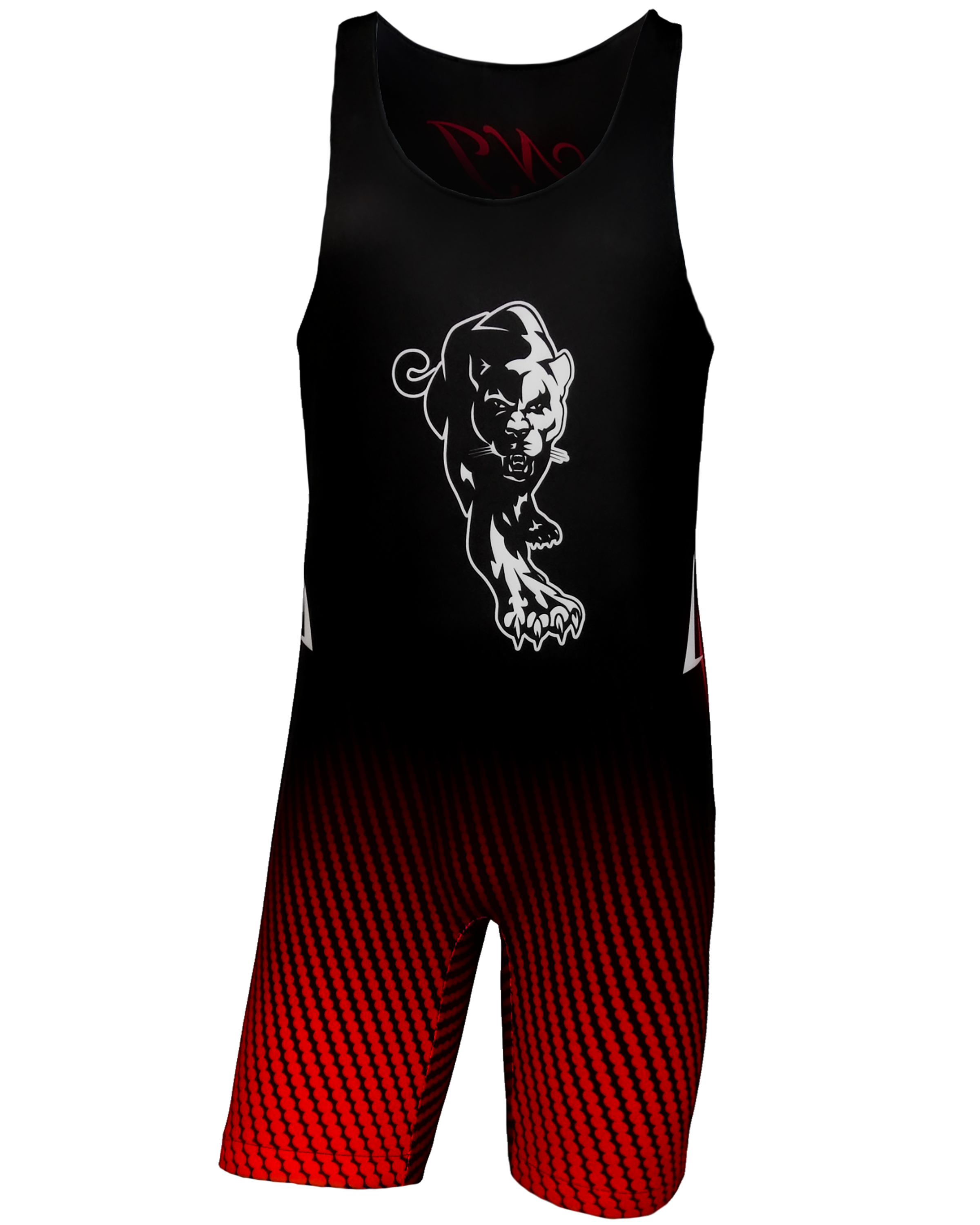 Male Wrestling Singlet