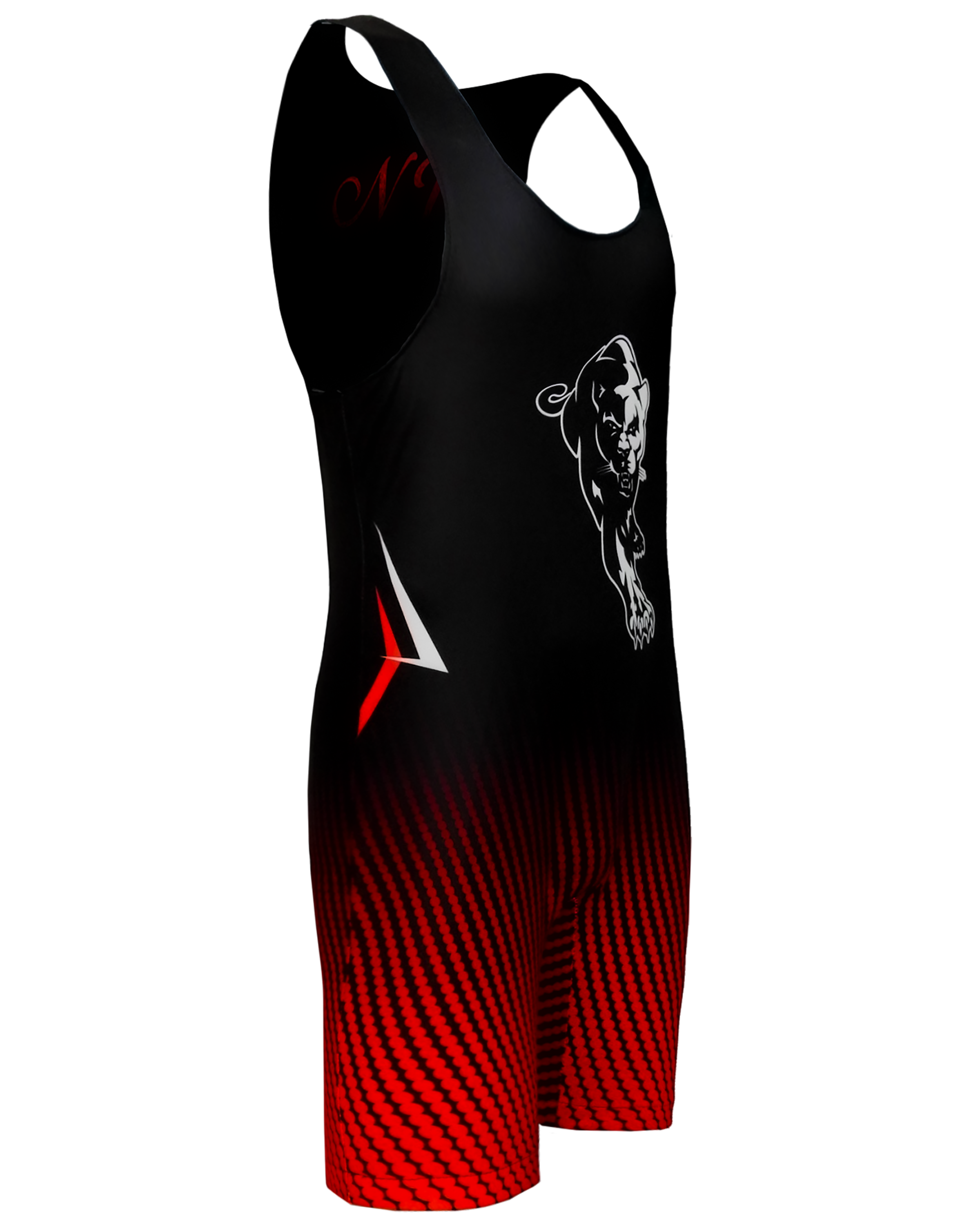 Male Wrestling Singlet