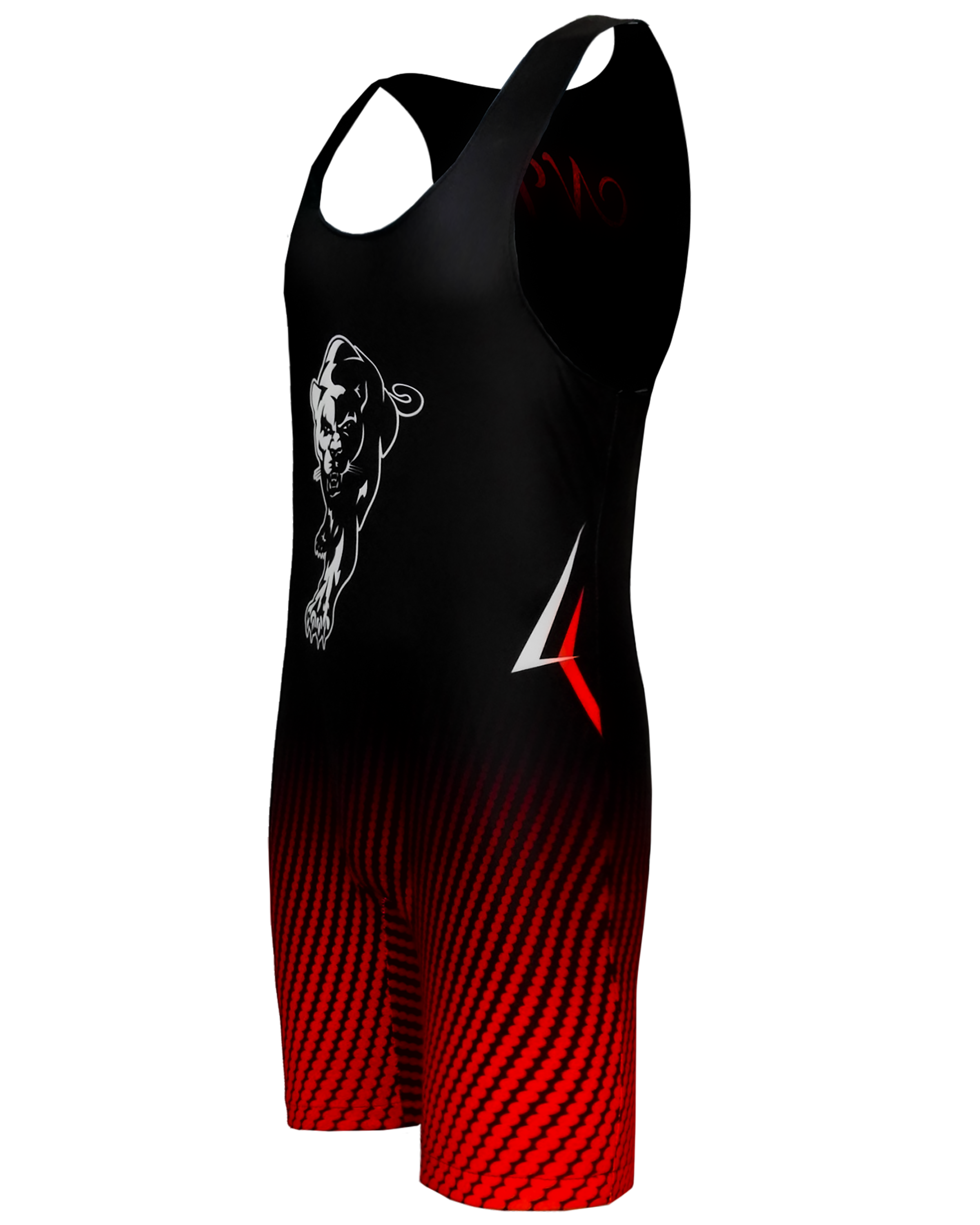 Male Wrestling Singlet